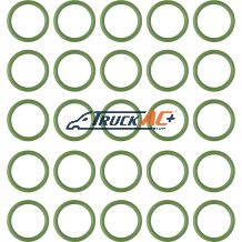 Sanden Suction Port O-ring 20pk - Truck Air 16-4233, MEI 0116