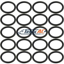 Sanden WV Suction Port O-ring 20pk - Truck Air 16-4270, MEI 0124