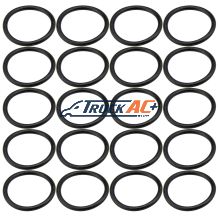 Seltec Manifold Suc Port O-rings 20pk - Truck Air 16-4144, MEI 0117