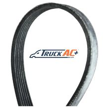 OEM Dynasys Gen1 Stretch Belt (Self-Tensioning) G1D11251 and newer - Dynasys 54-8011