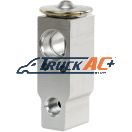 OEM Isuzu A/C Expansion Valve - Isuzu 8-98047-383-0, Truck Air 12-0701A, MEI 1689