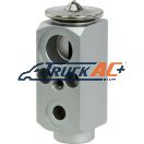 Freightliner Style A/C Expansion Valve - Freightliner BOA4965, Egelhof 327302, Behr A4965, Truck Air 12-0620G, MEI 1619G