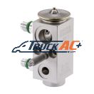 OEM Kenworth A/C Expansion Valve - Bergstrom 1000534258BSM, MEI 16106