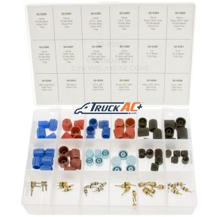 Cap & Valve Core Kit Assortment