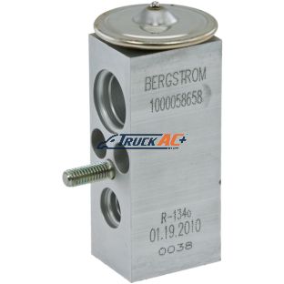 Navistar A/C Expansion Valve - Navistar 3688242-C1, 1000058658