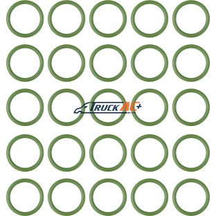 Sanden Suction Port O-ring 20pk - Truck Air 16-4233, MEI 0116