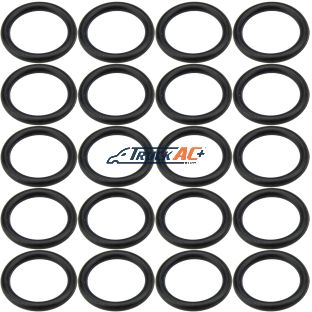 Sanden WV Discharge Port O-ring 20pk - Truck Air 16-4269, MEI 0129