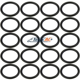 Sanden WV Suction Port O-ring 20pk - Truck Air 16-4270, MEI 0124