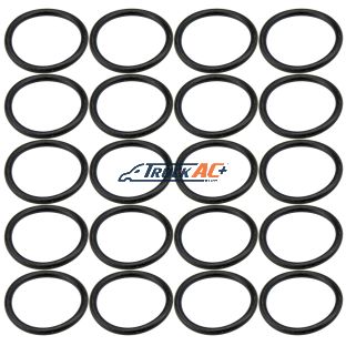 Seltec Manifold Suc Port O-rings 20pk - Truck Air 16-4144, MEI 0117